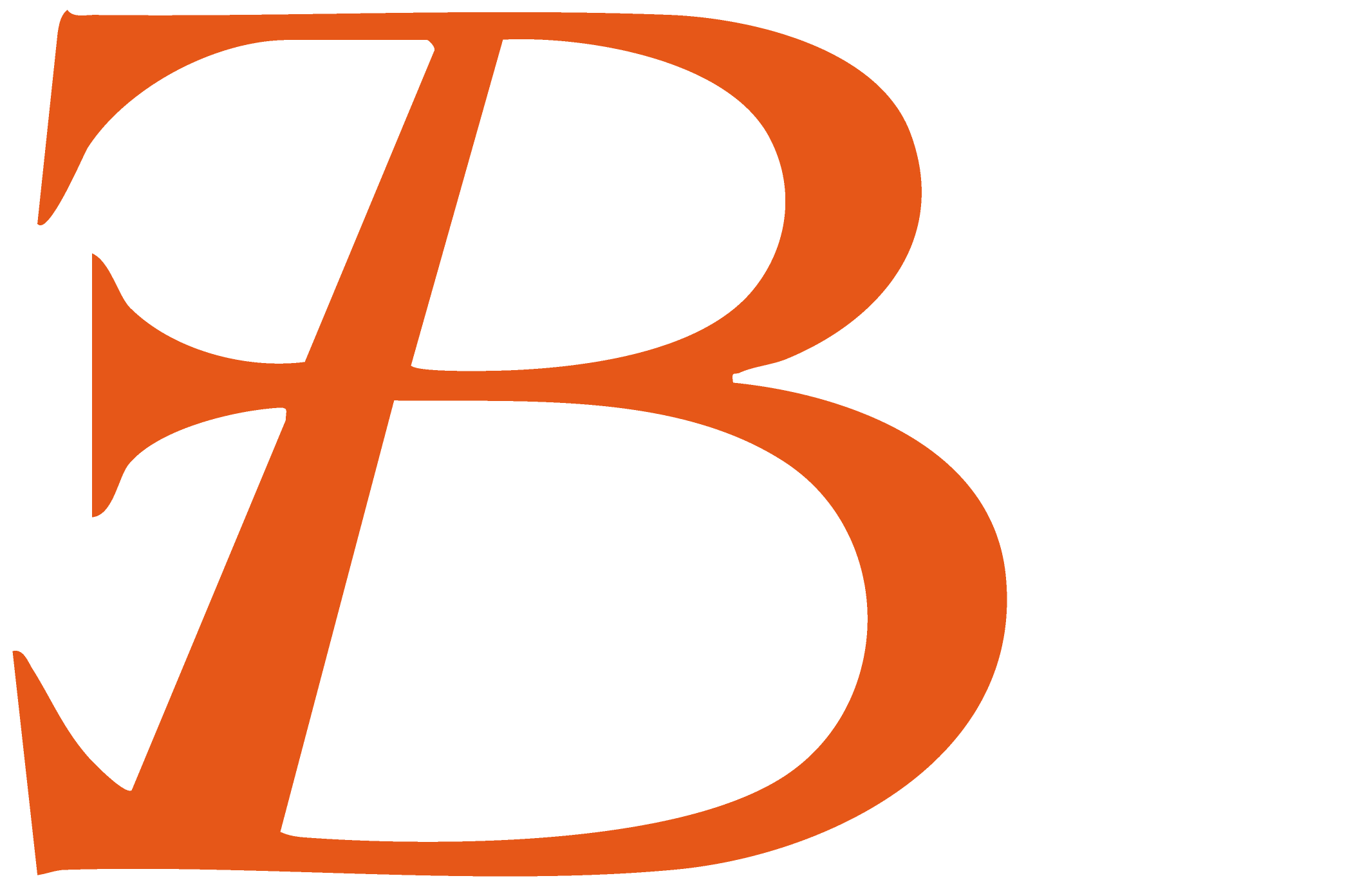 EBSS Servicios y Suministros